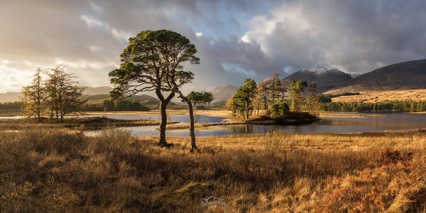 49053561171_71fe305922_c