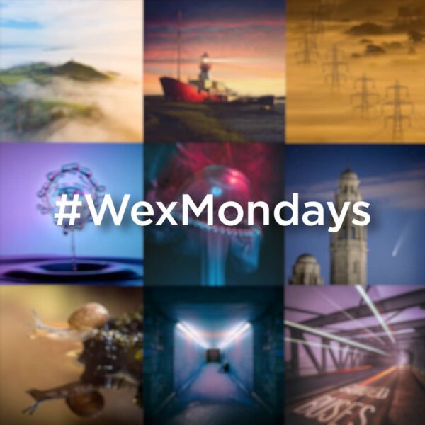 Wex Mondays Logo